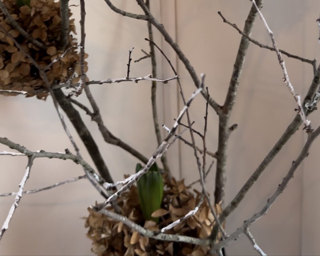 DIY winter decoratie takken voor in huis