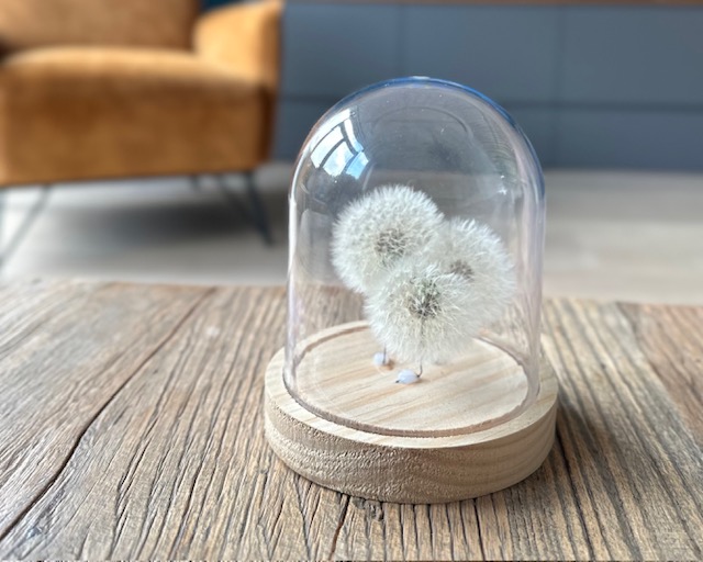 Paardenbloem decoratie