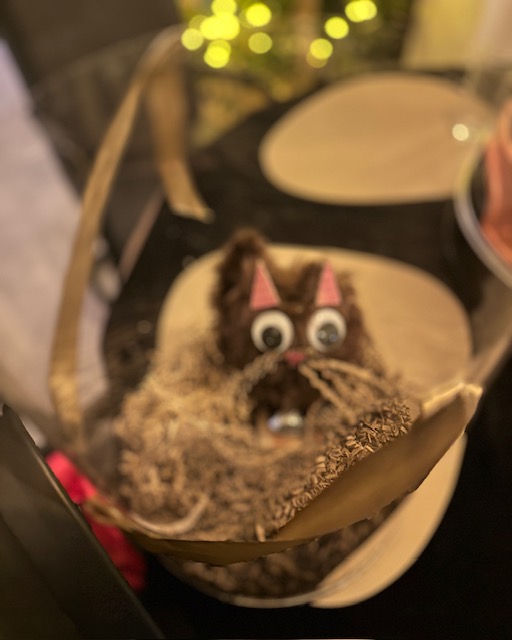 Sinterklaas surprise zelf maken stappenplan en tips